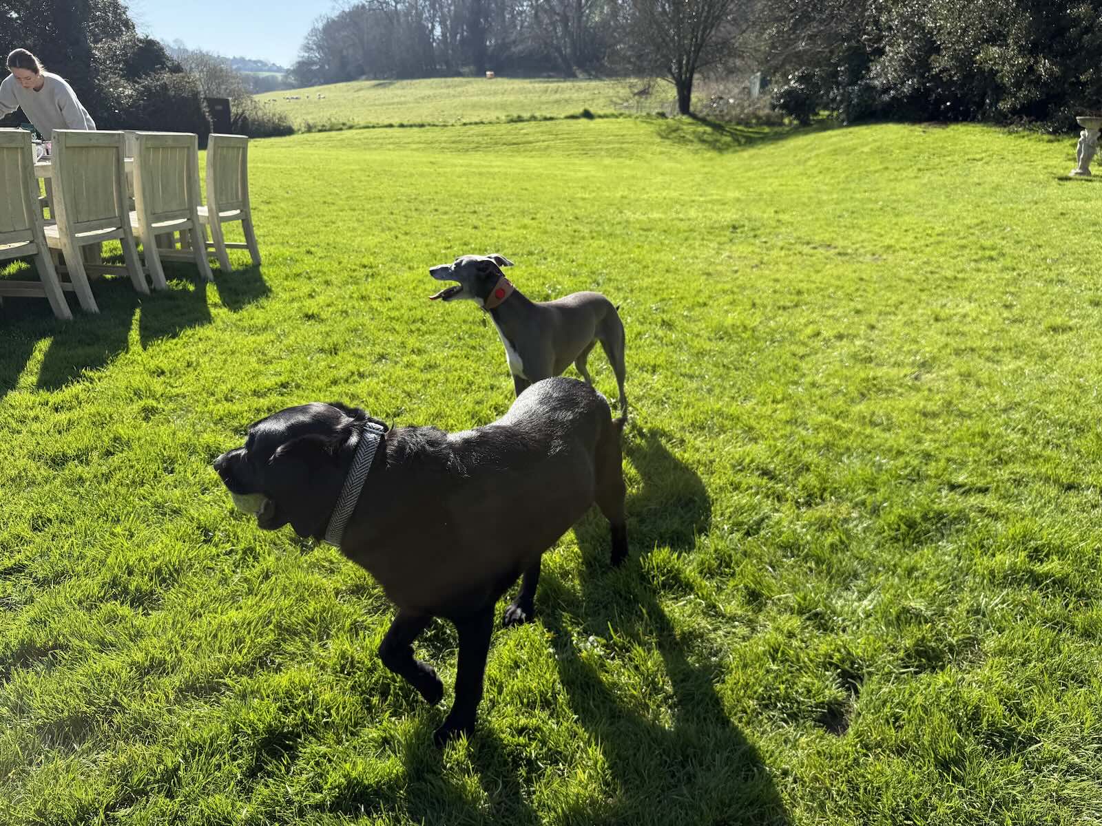 Bonnie and Olive playing